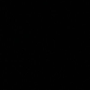 Meet your Posher, Terisha